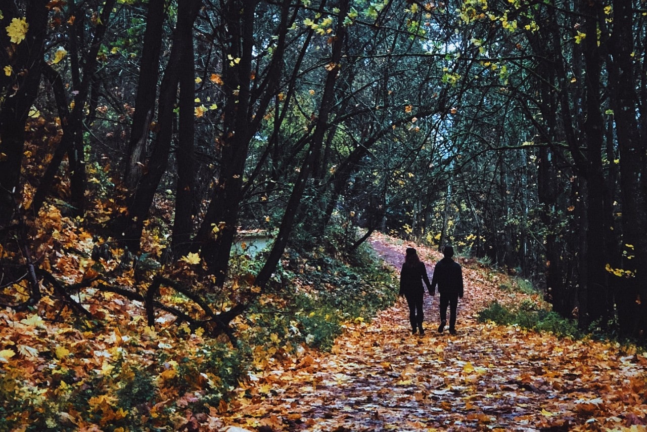 a couple holding hands walk on a trail in the forest during the fall.