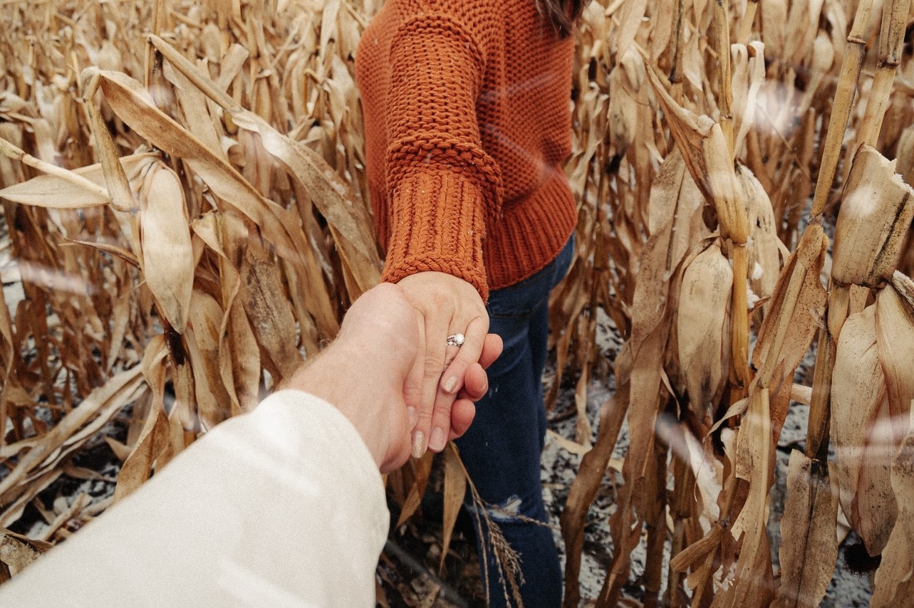 A man holds his fiance’s hand as he guides her through a cornfield.