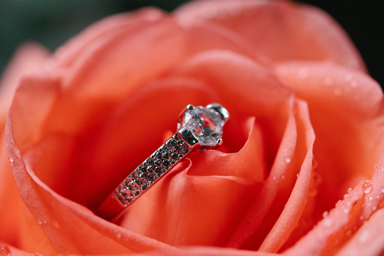 Round cut engagement ring sitting atop a red rose