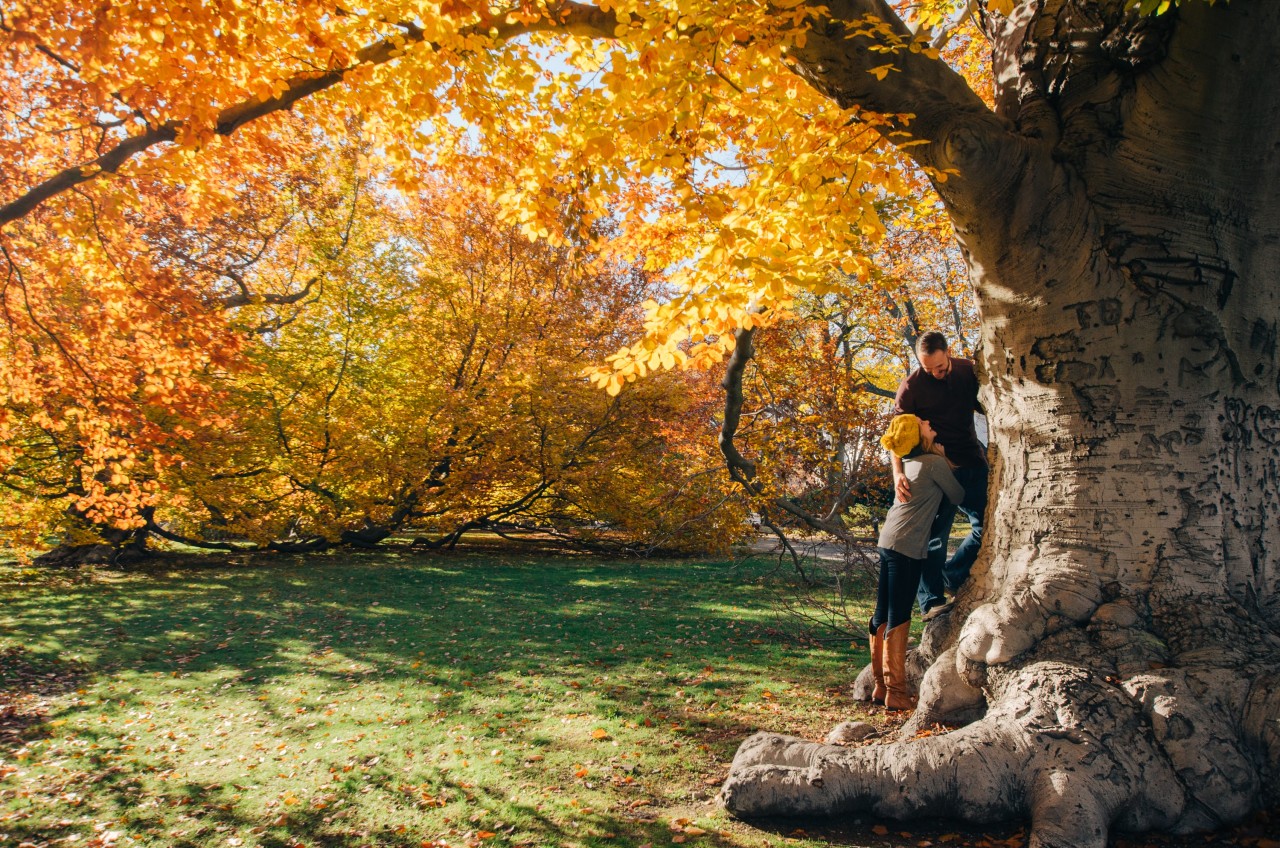 A couple standing near the three against a picturesque autumn scenery.