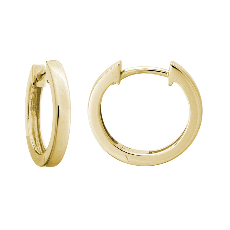 Brockhaus Fashion Earrings GEW51TL