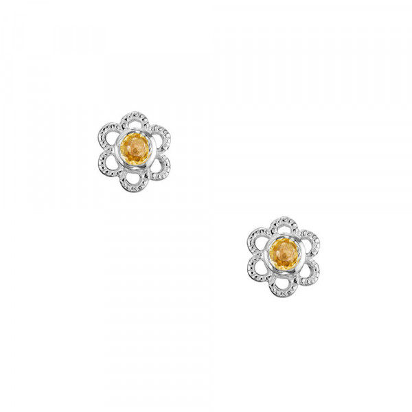 Brockhaus Fashion Earrings SEU40TLCI