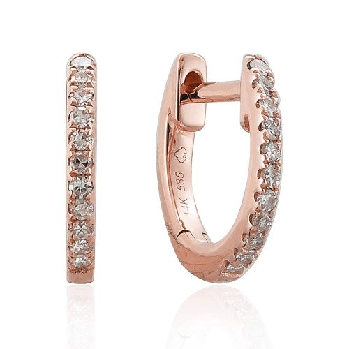Earrings thumbnail 1