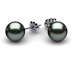 Royal Pearl Earrings 859-TE