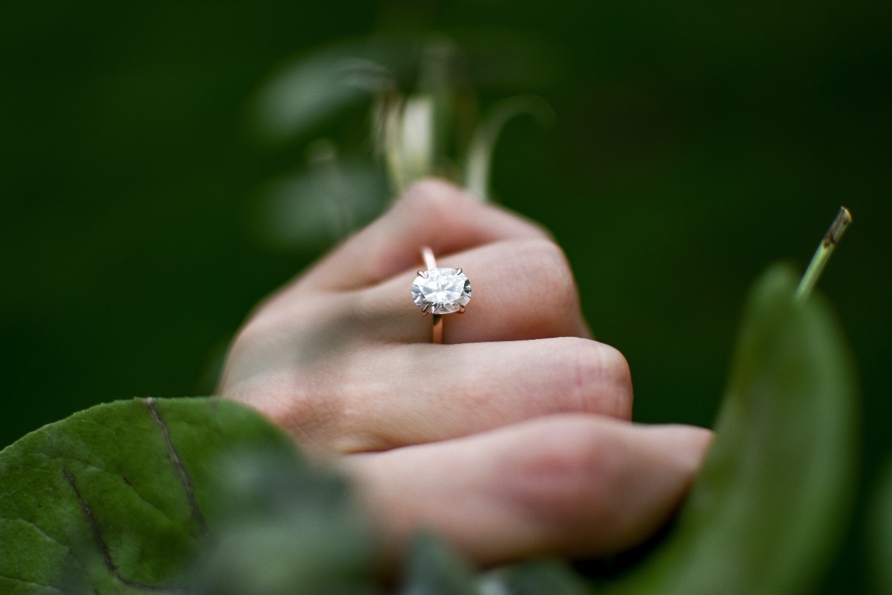 a woman’s hand wearing a solitaire engagement ring and holding stems a woman’s hand wearing a solitaire engagement ring and holding stems