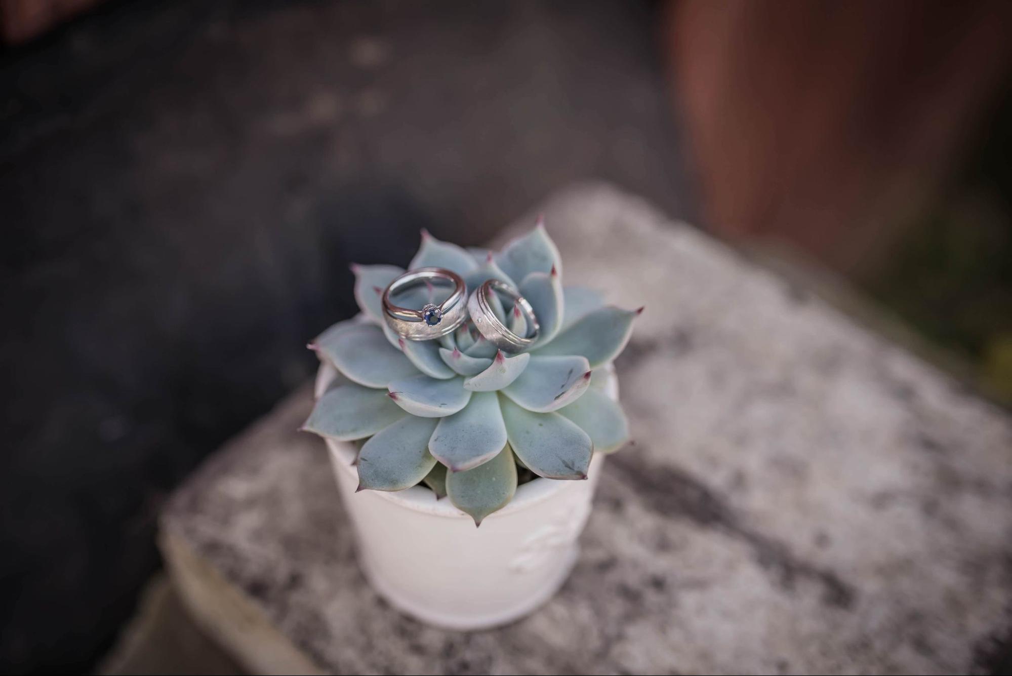 An engagement ring with two matching wedding bands sits on a succulent.